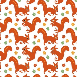 Red Squirrel and Acorns