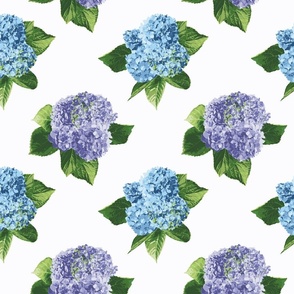 Hydrangeas - Multicolor (Medium)