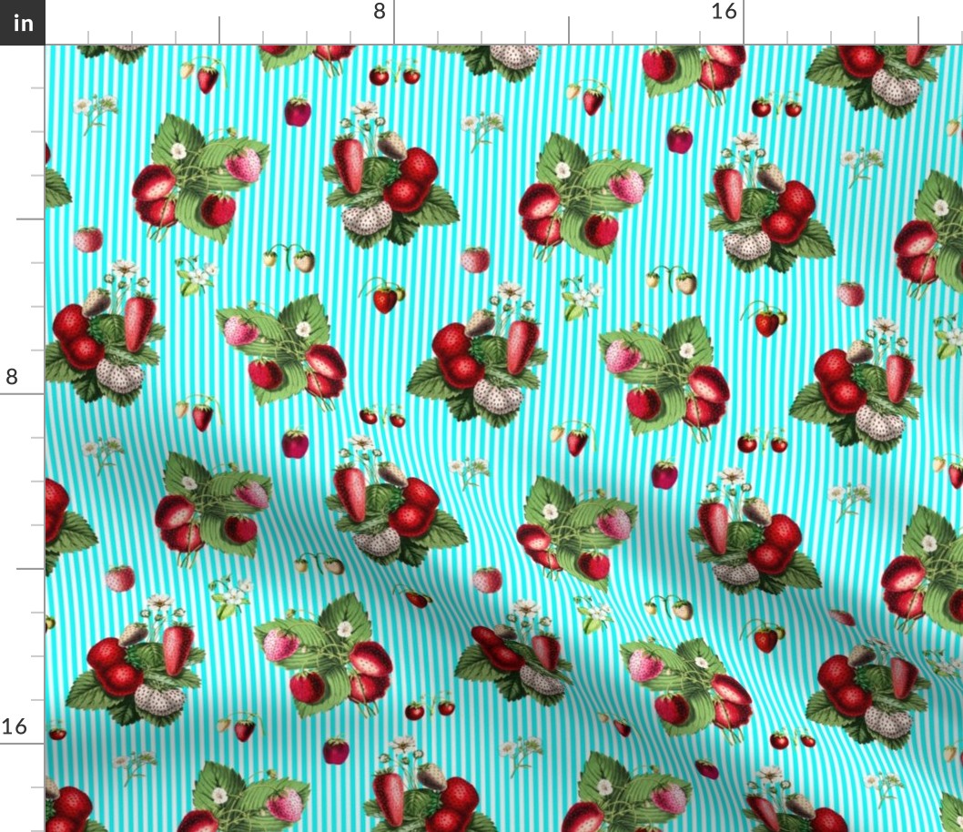 Strawberries on aqua stripes