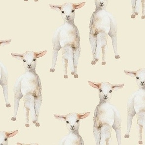 Watercolor Lambs {Antique White} Large Scale