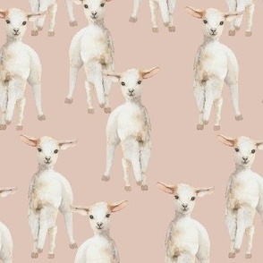 Watercolor Lambs {Blush Pink} Large Scale