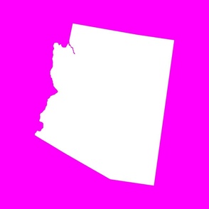 Arizona silhouette, 18x21" panel, white on pink - ELH
