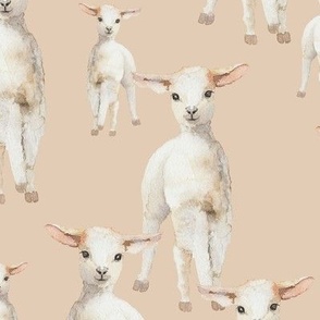 Watercolor Lambs {Almond Latte} Extra Large Scale