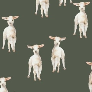 Watercolor Lambs {Thyme Green} Medium Scale
