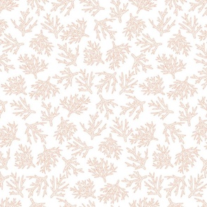 Peachy Coral Reef on White