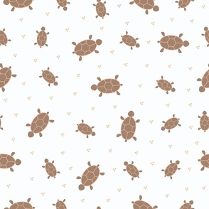 Brown Turtles - White Background