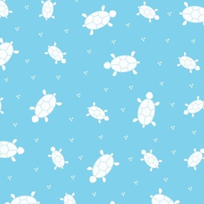 White Turtles - Turquoise Background
