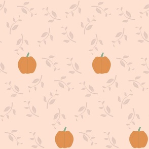 Sweet Pumpkin - Apricot