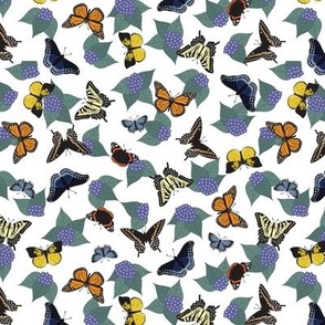 Butterfly Garden - White