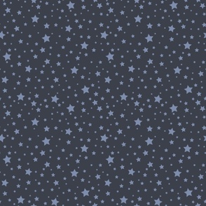 Stars of the Galaxy - Slate Grey on Midnight Blue - Large