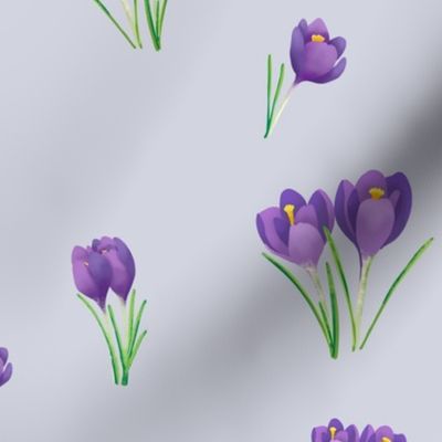 crocus