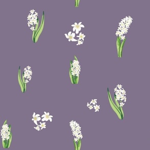  hyacinth