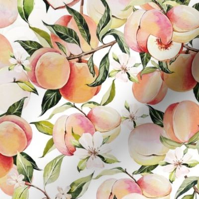 Peach Orchard / White - Summer, Fruit, Peaches