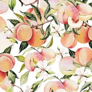 Peach Orchard / White - Summer, Fruit, Peaches