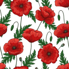 Red graphic poppies