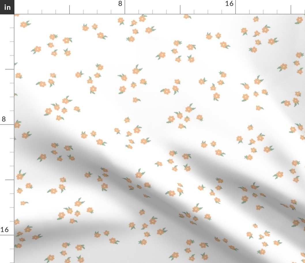 Sweet Blossom - Apricot, Medium Scale