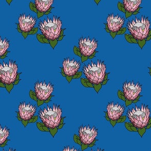 Pretty Pink Proteas motif (lattice) - black outlines, ocean blue, medium 