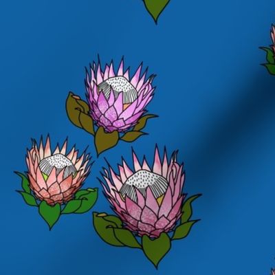 Pretty Pink Proteas motif (tri-tone) - black outlines, ocean blue, medium 