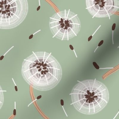 Abstract Dandelion Puffs
