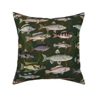Vintage Fish with corals green