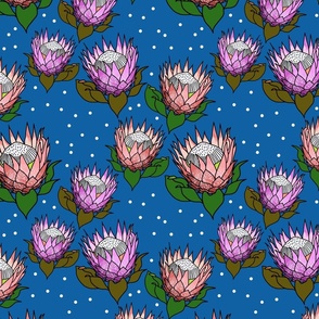 Pretty Pink Proteas #1 (dual tone) - black outlines, ocean blue, medium 