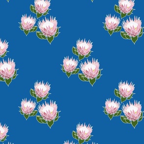 Pretty Pink Proteas motif (lattice) - white outlines, ocean blue, medium 