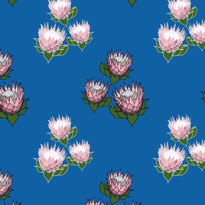 Pretty Pink Proteas motif - black and white outlines, ocean blue, medium 