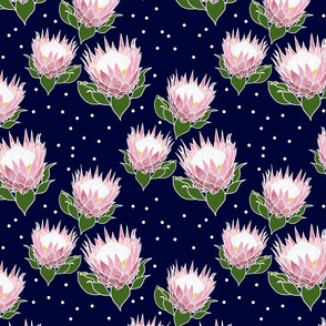 Pretty Pink Proteas #1 - white outlines, midnight blue, medium 