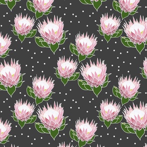 Pretty Pink Proteas #1 - white outlines, charcoal grey, medium 