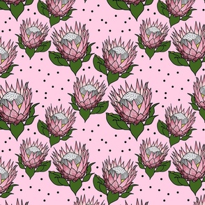 Pretty Pink Proteas #1 - black outlines, cotton candy, medium 