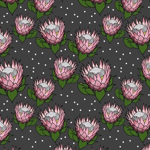 Pretty Pink Proteas #1 - black outlines, charcoal grey, medium 