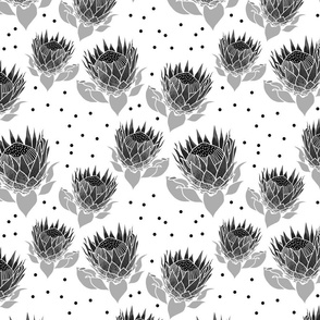 Pretty Pink Proteas #1 - greyscale noir on white, medium 