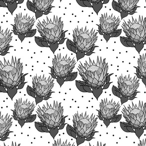 Pretty Pink Proteas #1 - greyscale on white, medium 