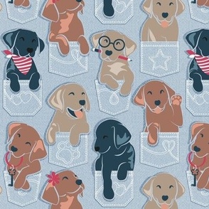 Small scale // Pure love Labrador pockets // pastel blue background Labrador Retriever dog puppies