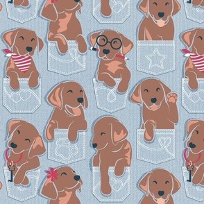 Small scale // Pure love Labrador pockets // pastel blue background brown chocolate Labrador Retriever dog puppies