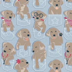 Small scale // Pure love Labrador pockets // pastel blue background yellow Labrador Retriever dog puppies