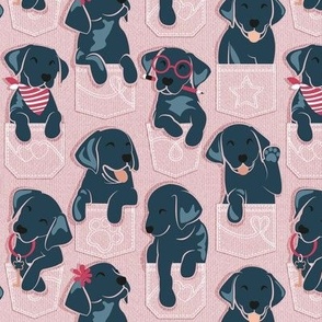 Small scale // Pure love Labrador pockets // blush pink background black Labrador Retriever dog puppies