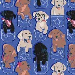 Small scale // Pure love Labrador pockets // electric blue background Labrador Retriever dog puppies