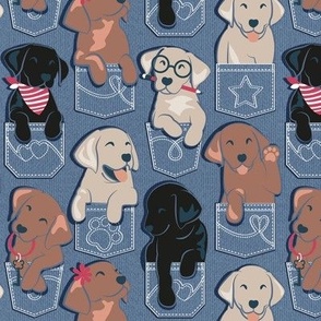 Small scale // Pure love Labrador pockets // denim blue background Labrador Retriever dog puppies