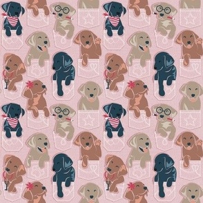 Tiny scale // Pure love Labrador pockets // blush pink background Labrador Retriever dog puppies