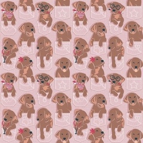 Tiny scale // Pure love Labrador pockets // blush pink background brown chocolate Labrador Retriever dog puppies