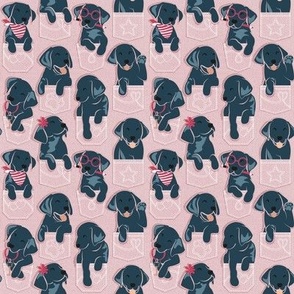 Tiny scale // Pure love Labrador pockets // blush pink background black Labrador Retriever dog puppies