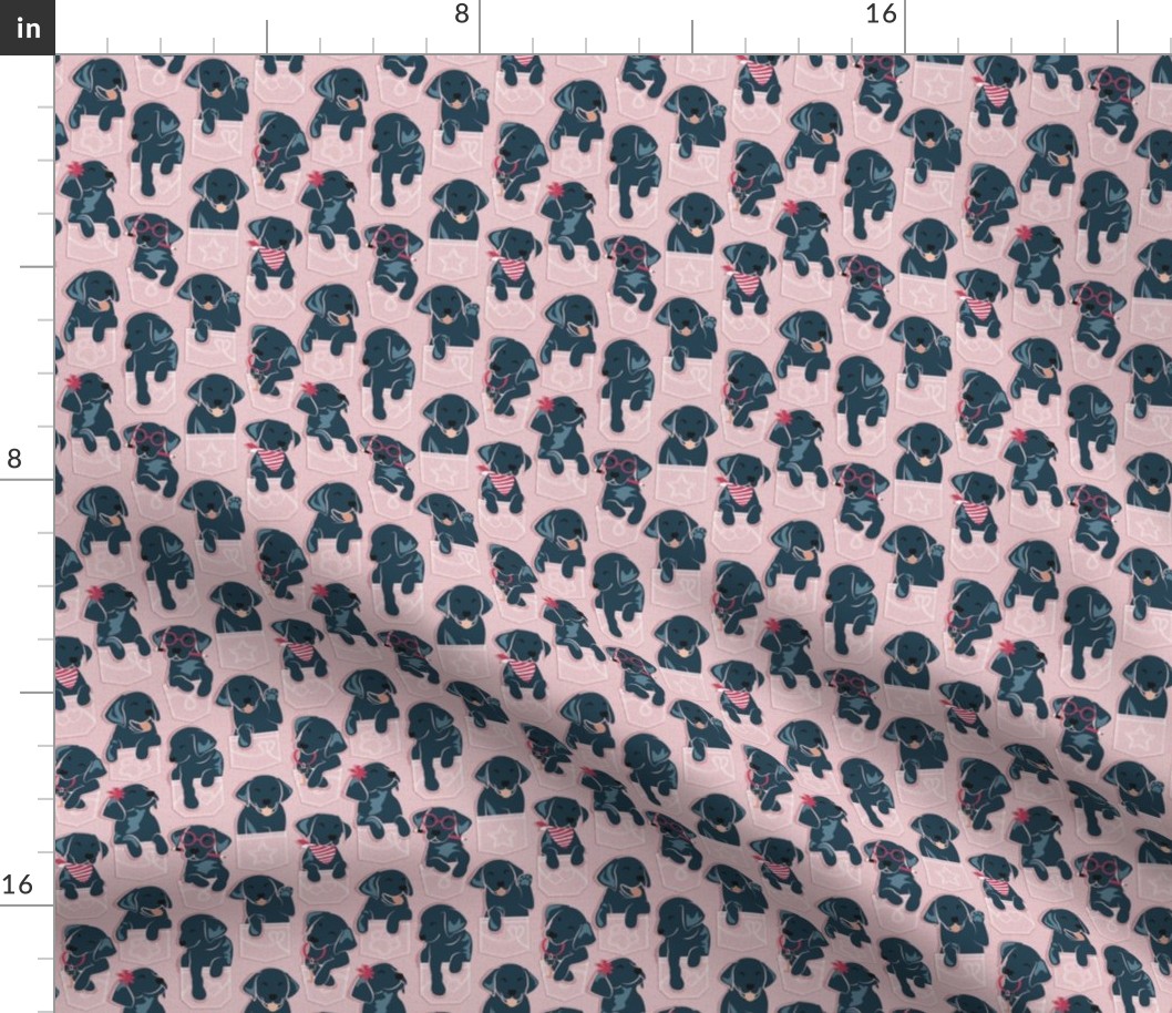 Tiny scale // Pure love Labrador pockets // blush pink background black Labrador Retriever dog puppies