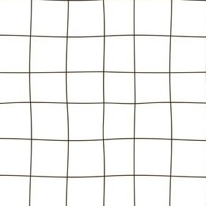 Cute  seamless pattern with hand-drawn  minimalistic black thin  cell grid  on  white background.  Simple and stylish trendy abstract  design. Check repeated texture.