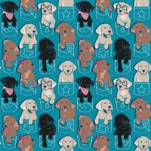 
Tiny scale // Pure love Labrador pockets // turquoise background Labrador Retriever dog puppies
