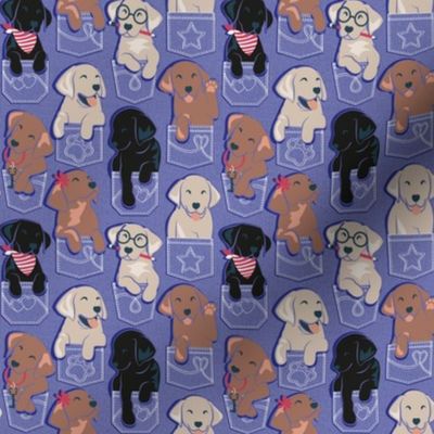 Tiny scale // Pure love Labrador pockets // very peri background Labrador Retriever dog puppies