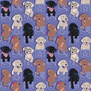Tiny scale // Pure love Labrador pockets // very peri background Labrador Retriever dog puppies