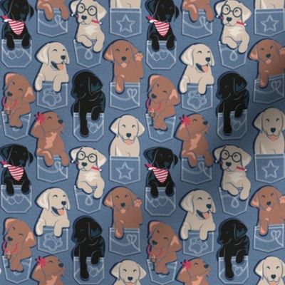 Tiny scale // Pure love Labrador pockets // denim blue background Labrador Retriever dog puppies