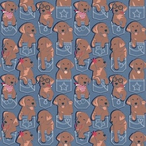 Tiny scale // Pure love Labrador pockets // denim blue background brown chocolate Labrador Retriever dog puppies