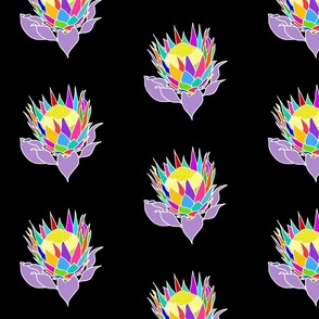 Rainbow Protea (stained glass window) - white lines on black, medium 